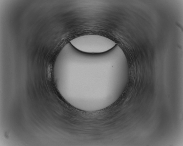 X0000092100038200709121118