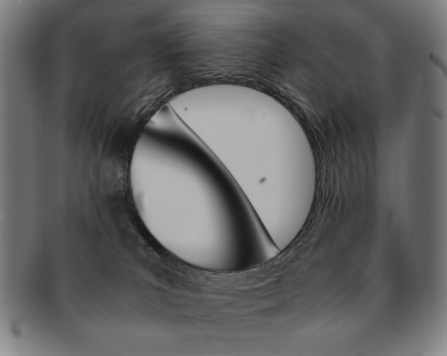 X0000092100039200709121118