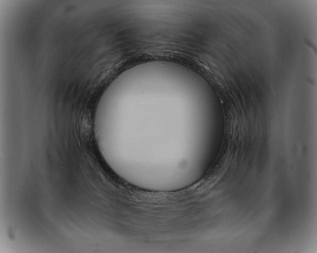 X0000092100040200709121118