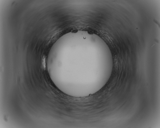 X0000092100042200709121118