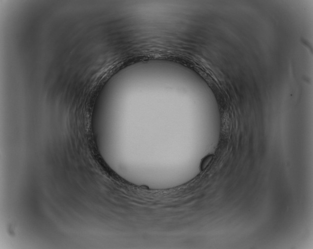 X0000092100043200709121118