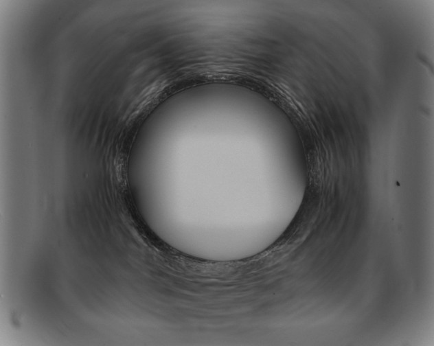 X0000092100044200709121118