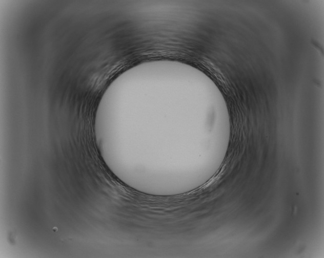 X0000092100045200709121118
