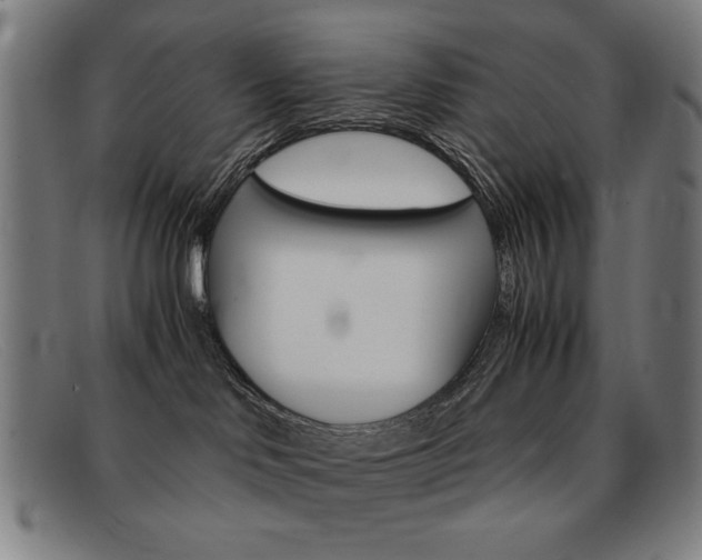 X0000092100046200709121118