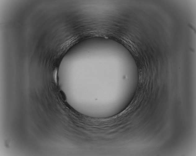 X0000092100047200709121118