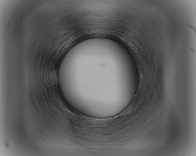 X0000092100048200709121118