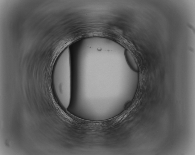 X0000092100049200709121118