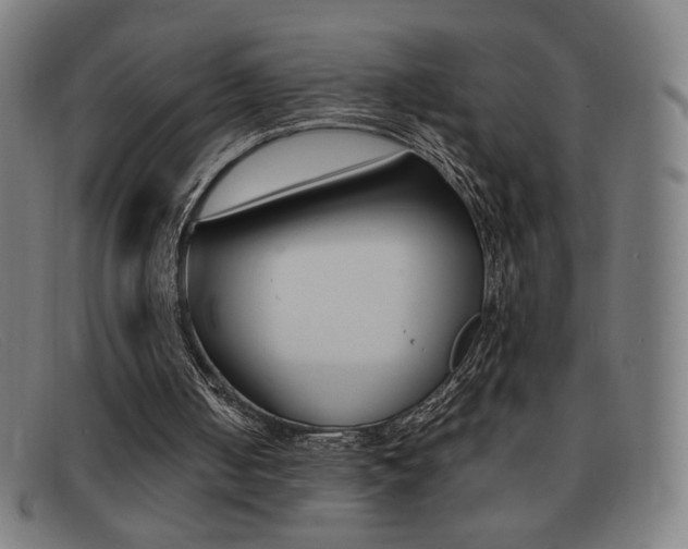 X0000092100050200709121118