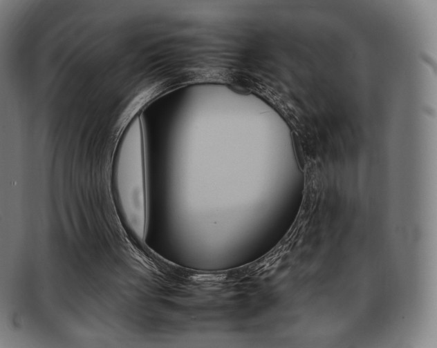 X0000092100051200709121118