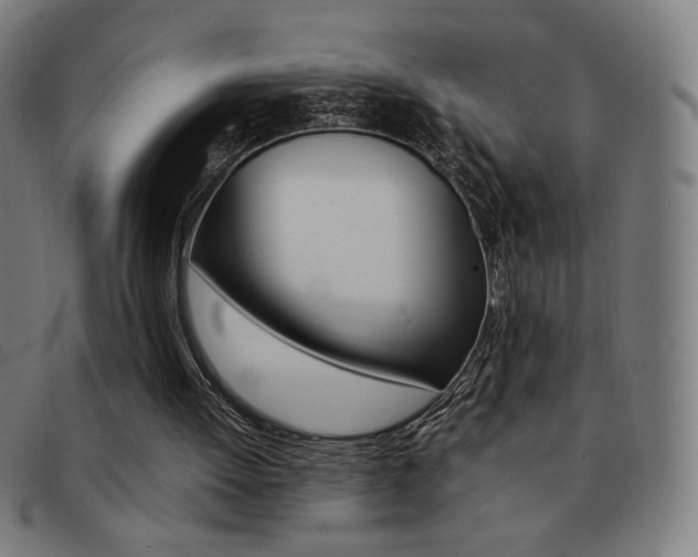 X0000092100052200709121118