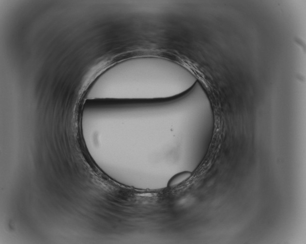 X0000092100053200709121118
