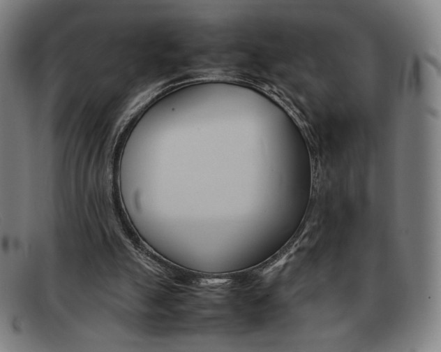 X0000092100055200709121118