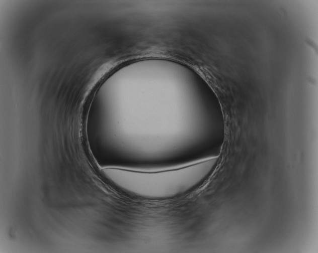 X0000092100056200709121118