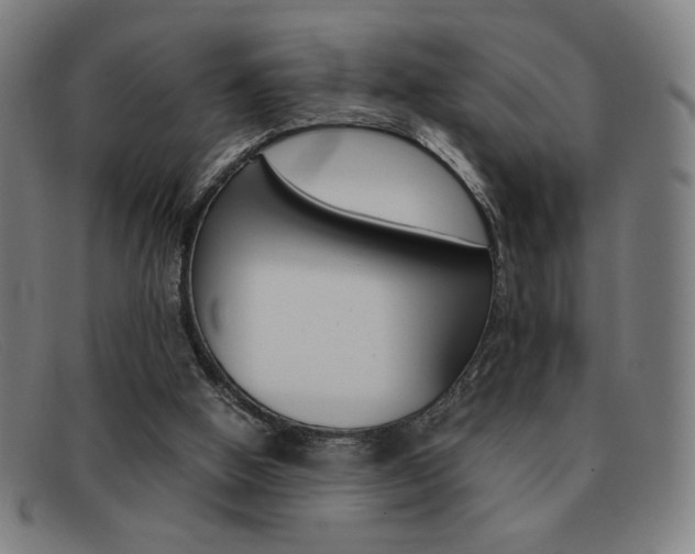 X0000092100058200709121118