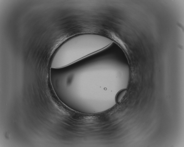 X0000092100059200709121118