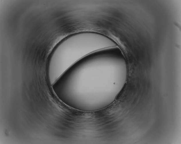 X0000092100060200709121118