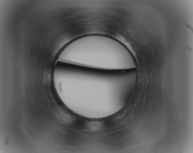 X0000092100063200709121118