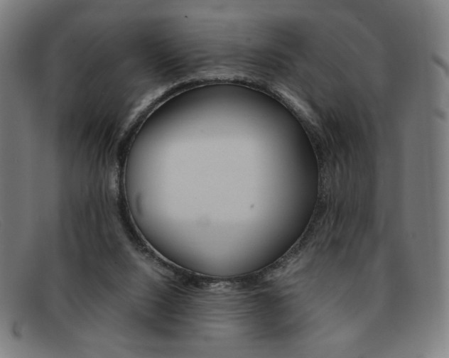 X0000092100064200709121118