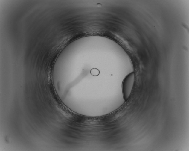 X0000092100065200709121118