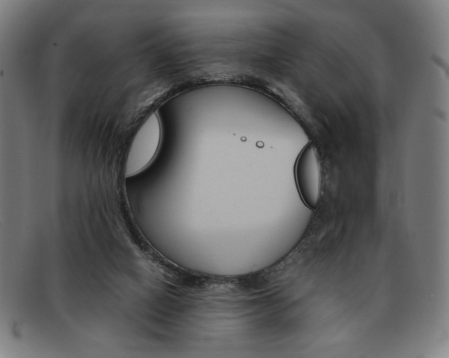 X0000092100066200709121118