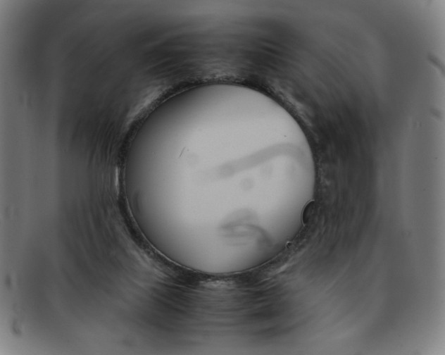 X0000092100067200709121118
