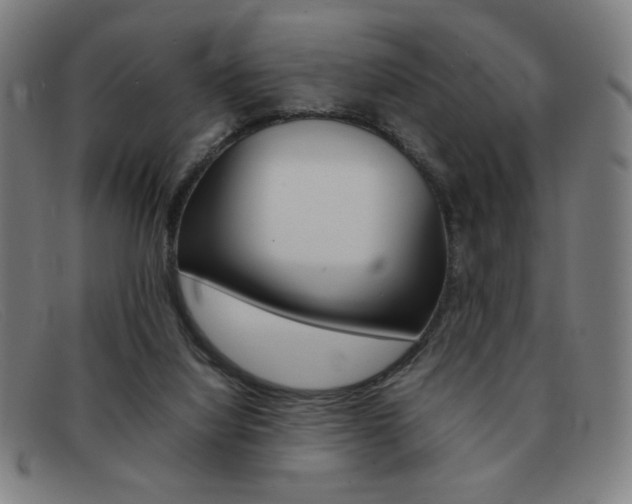 X0000092100068200709121118