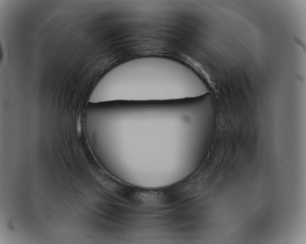 X0000092100069200709121118