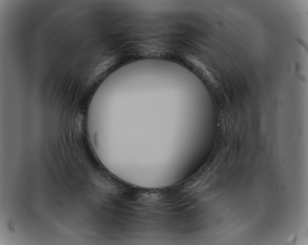 X0000092100071200709121118