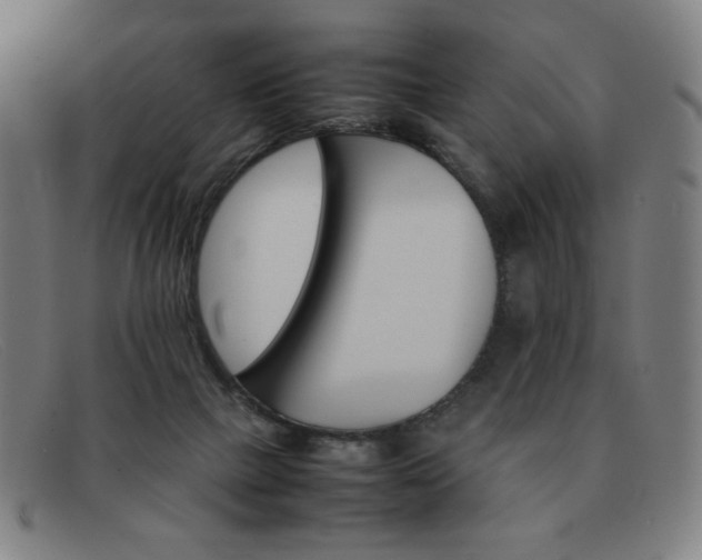 X0000092100073200709121118
