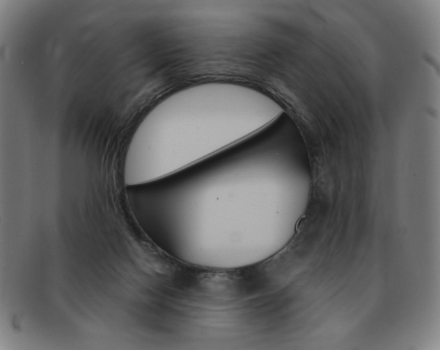 X0000092100074200709121118