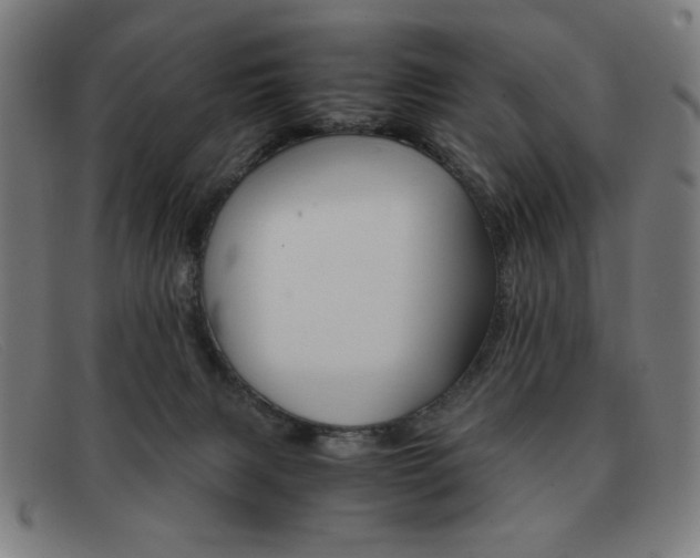 X0000092100079200709121118