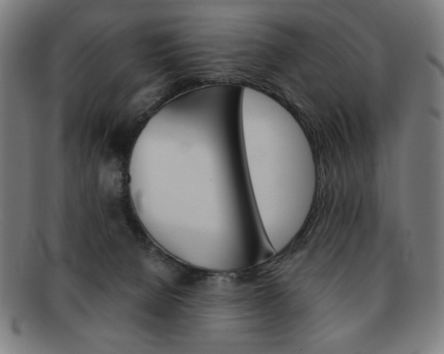X0000092100080200709121118