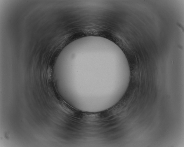 X0000092100081200709121118