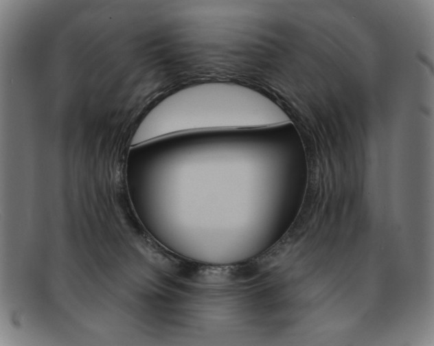 X0000092100084200709121118