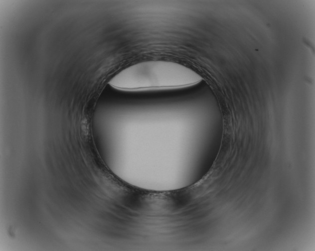X0000092100086200709121118