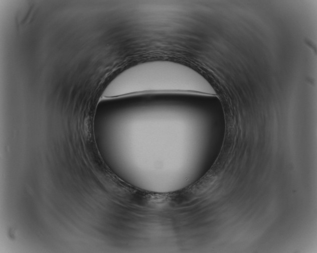 X0000092100088200709121118