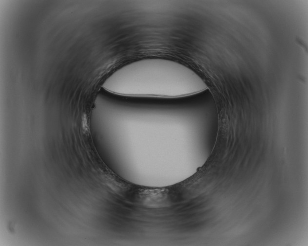 X0000092100089200709121118