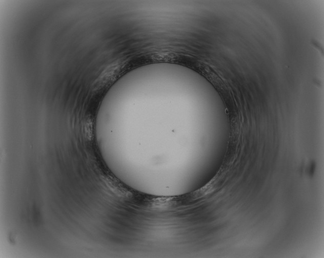 X0000092100090200709121118