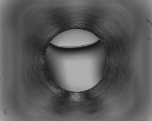 X0000092100091200709121118