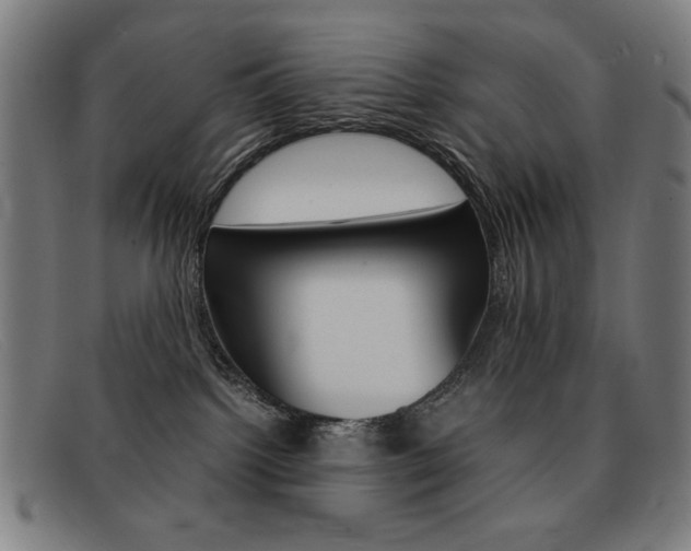 X0000092100092200709121118