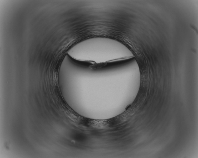 X0000092100093200709121118