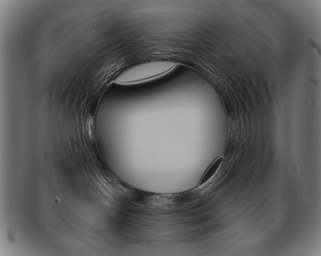 X0000092100094200709121118