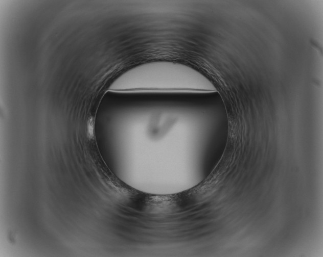 X0000092100095200709121118