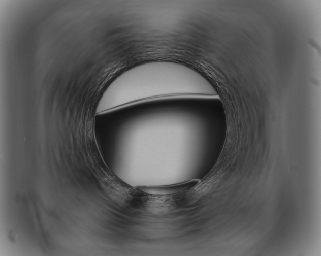X0000092100096200709121118