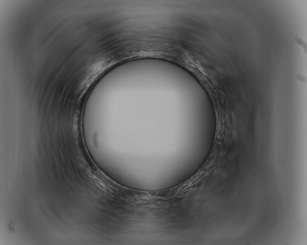 X0000092100098200709121118