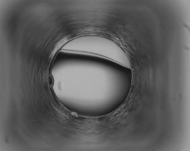 X0000092100099200709121118