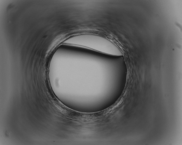 X0000092100101200709121118