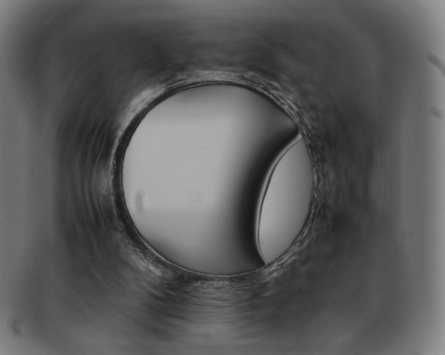 X0000092100104200709121117