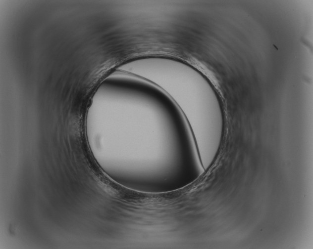 X0000092100105200709121117