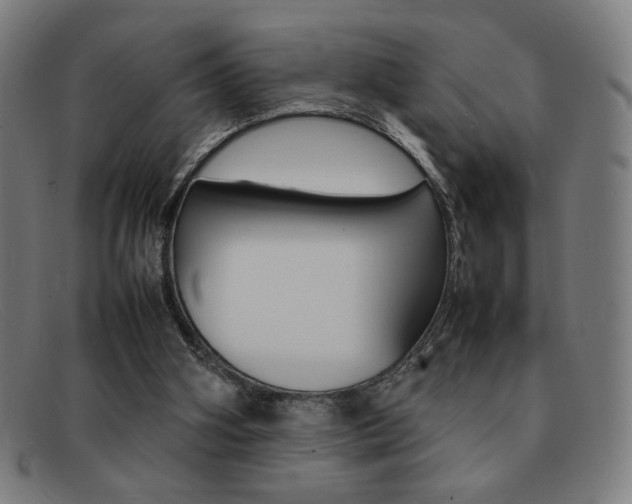 X0000092100106200709121117